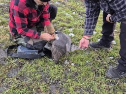 WhatsApp Image 2026-01-12 at 15.54.09 1